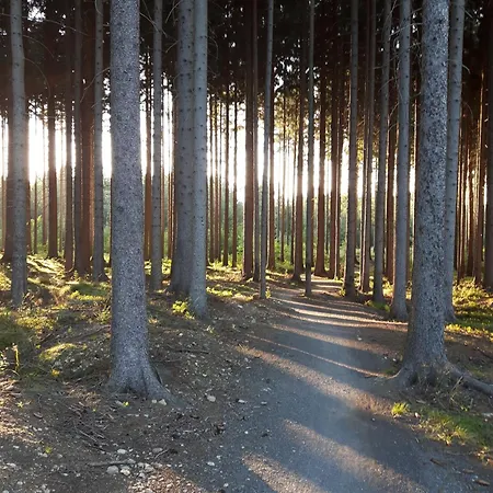 Le Mont Medical & 3*