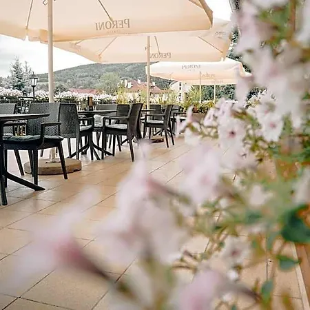 Le Mont Medical & Adults Only