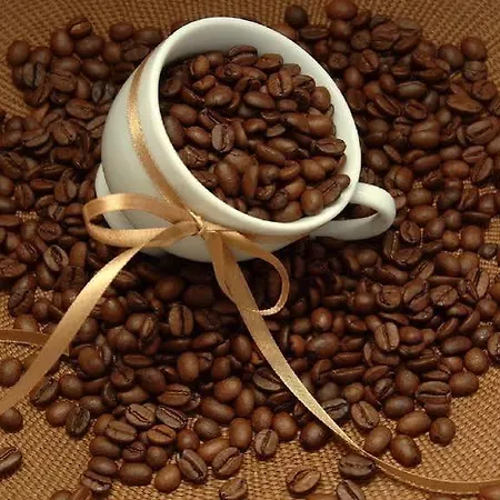 Le Mont Medical & Θέρετρο