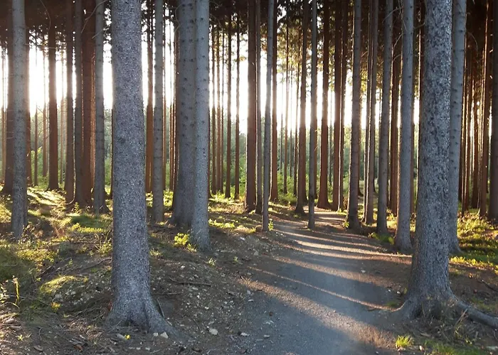 Le Mont Medical & 3*