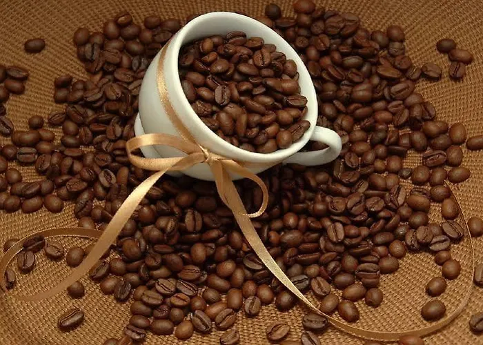 Le Mont Medical & 리조트